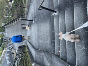 IMG_6727